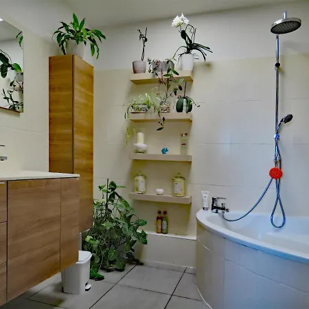 L'oasis - Loft Standing - Terrasse Rooftop - Jacuzzi - Parking *